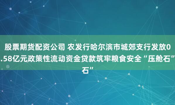 股票期货配资公司 农发行哈尔滨市城郊支行发放0.58亿元政策性流动资金贷款筑牢粮食安全“压舱石”